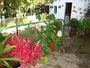 Casa Rural Isabel Vilaflor Tenerife