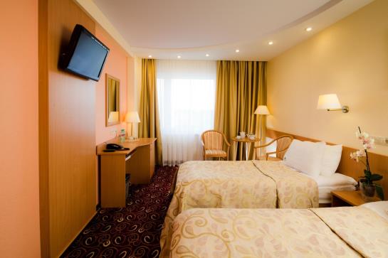 Hotel Izmailovo Beta Moscow