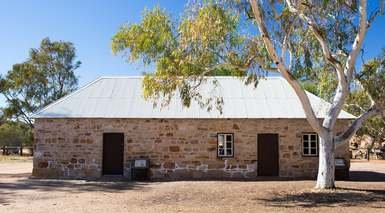 أليس سبرينجز