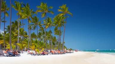 Bavaro