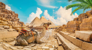 Egipto de Lujo: Cairo y Crucero 5* en Grupos Reducidos con 10 visitas Egipto de Lujo: Cairo y Crucero 5* en Grupos Reducidos con 10 visitas