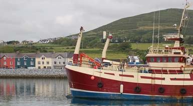 Dingle