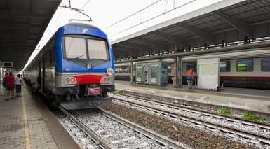 Alexander - Mestre