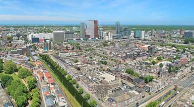 The Hague