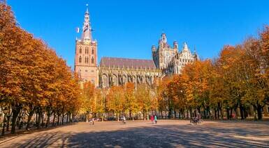 デン・ボッシュ