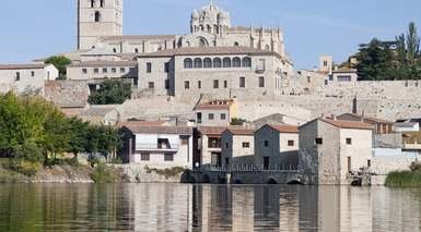 Zamora