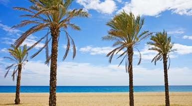 Gran  Guadalpin Banus - Marbella