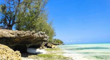 The Residence Zanzibar - Kizimkazi