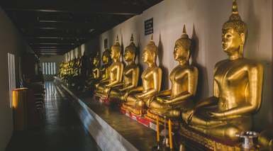 פיטסאנולוק