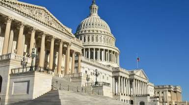 Washington D.C.