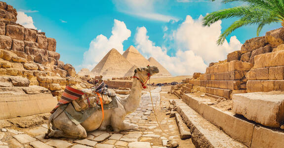 Egipto al Completo