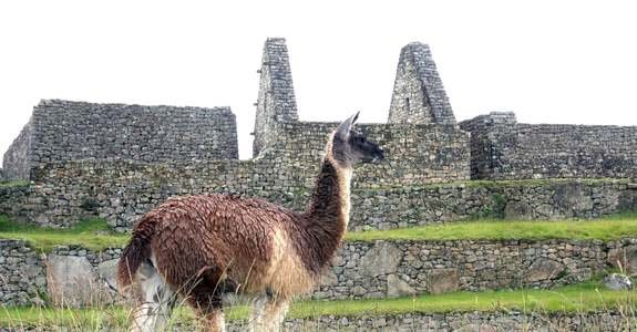 Perú Inca y Colonial al Completo