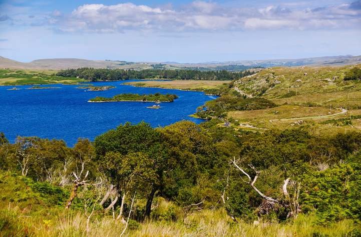 Donegal