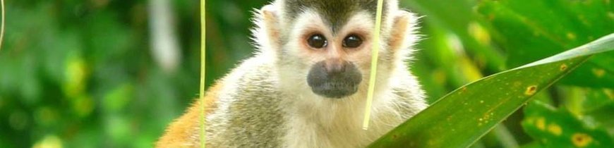 Gran Tour de Costa Rica en 4x4