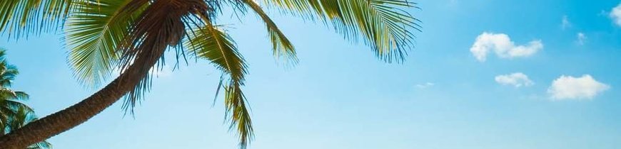 Varadero e Tudo Incluido de Lisboa