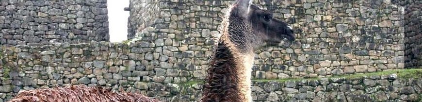 Perú Inca y Colonial al Completo