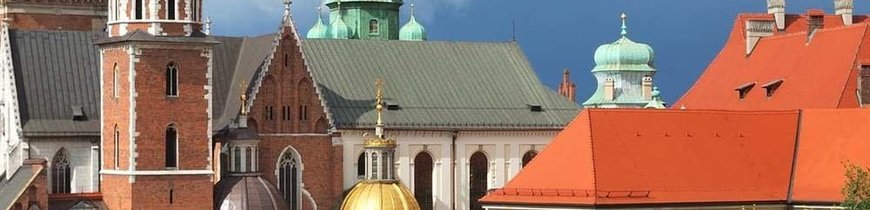 Polonia al Completo + Minas de Sal + Auschwitz