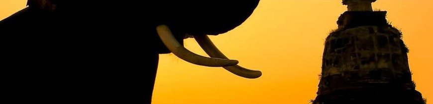 Tailandia al Completo 