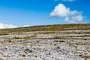 The Burren