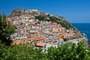 Sassari