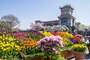 Seoul