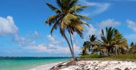 Punta Cana