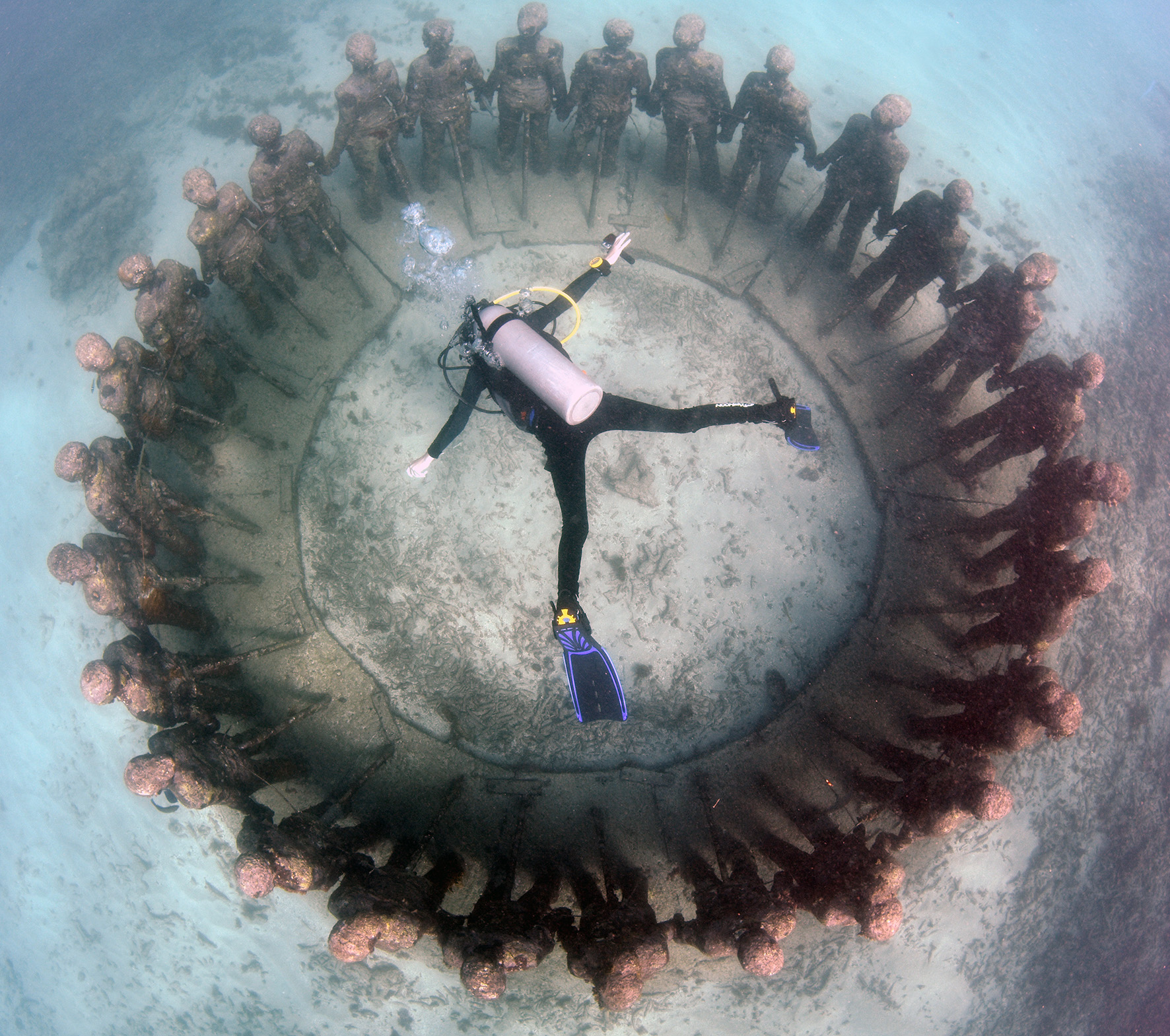 Diving & Sailing