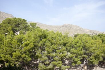 هتل Cala Sant Vicenç   Adults Only