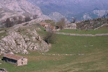 هتل Picos De Europa