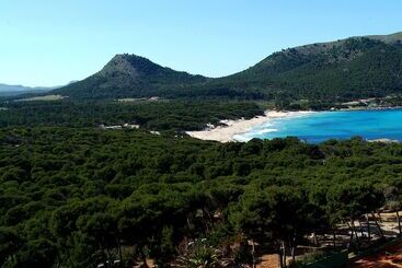 هتل & Spa S'entrador Playa