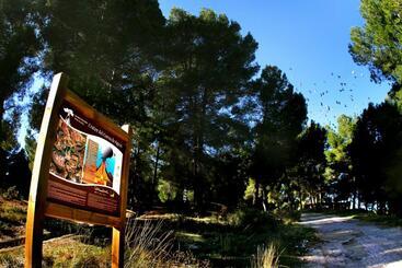 هتل Balneario De Cofrentes