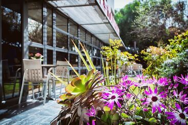 Best Western Plus Hotel Alfa Aeropuerto