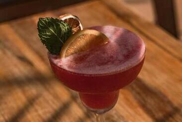 هتل Cook's Club Calviá Beach - Adults Only