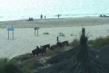 Beach Hotel Dos Mares