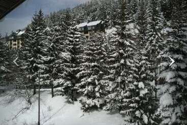 هتل Edelweiss Candanchu
