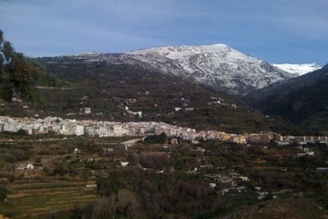 هتل Hostal Manolete
