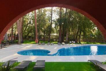 Intelier Bonaire - Benicasim