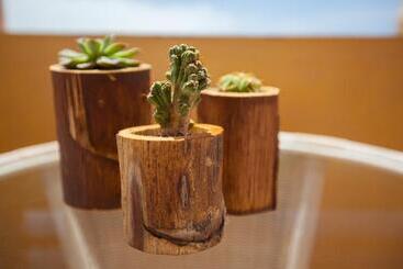 Corallium Dunamar by Lopesan Hotels - Adults Only