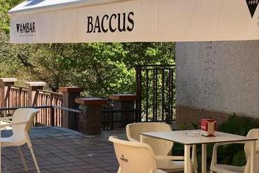 هتل Baccus