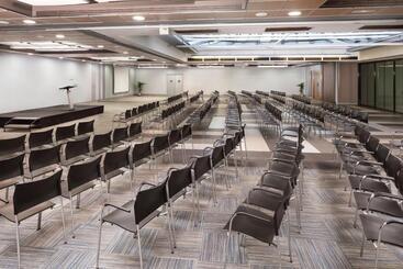 هتل Melia Castilla