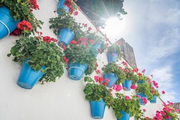 Hotell Óbal Urban