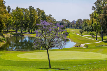 Отель Sol Marbella Estepona  Atalaya Park