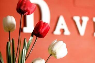 Hostal Conde David