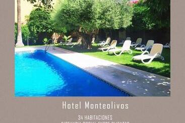 Aacr Hotel Monteolivos
