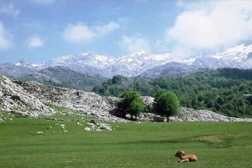هتل Camangu