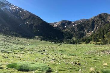 هتل Hostal Pirineos Meliz