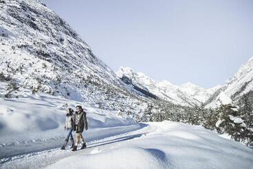 Отель Alpenparks Chalet & Apartment Alpina Seefeld