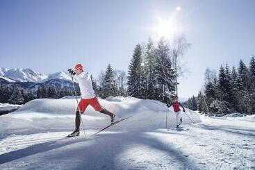 Отель Alpenparks Chalet & Apartment Alpina Seefeld