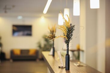 Altstadt Hotel Hofwirt Salzburg