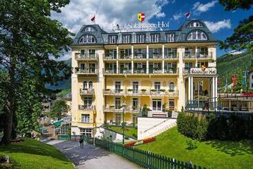 酒店 Salzburger Hof